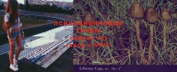 соль ск Алексин