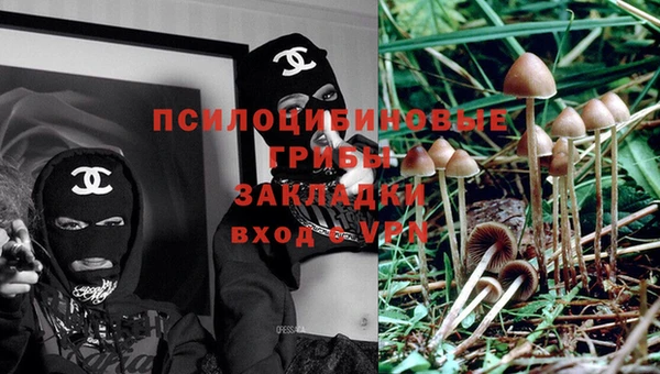 гидра Алзамай