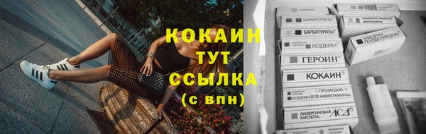 соль ск Алексин
